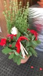 Soluzioni regalo Soluzioni regalo