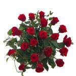 Bouquet di roselline rosse